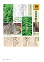 広報さくらがわ 2016年7月1日号 No.259