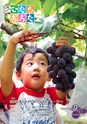 広報ひたちおおた 2016年9月号 No.658