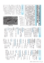 広報かさま 2016年10月号 vol.127