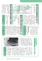 広報つくばみらい 2016年11月号 No.127