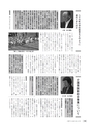 広報やちよ 2016年11月号 No.685