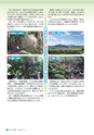 広報さくらがわ 2016年11月1日号 No.267