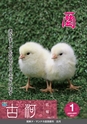広報 古河 2017年1月号 No.136