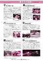 広報ひたちおおた 2017年1月号 No.662